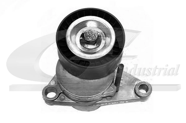 Tensioner Lever, V-ribbed belt