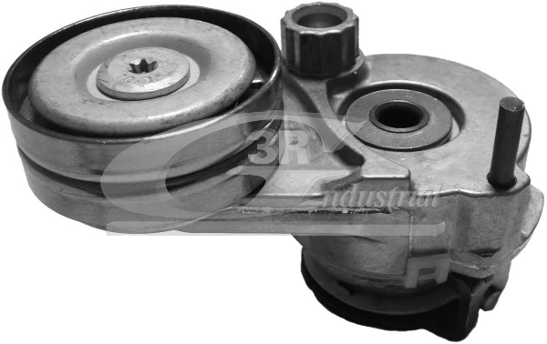 Tensioner Lever, V-ribbed belt