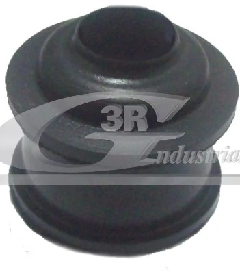 Bushing, selector/shift rod