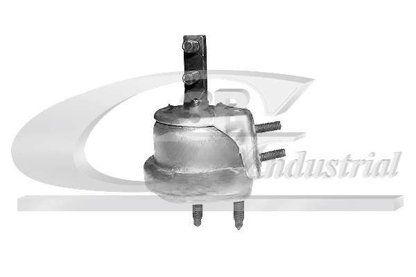 Mounting, engine
