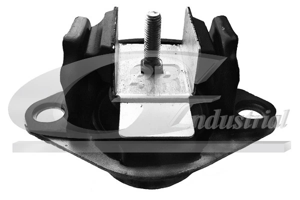 Mounting, engine