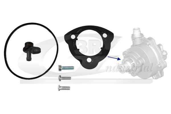 Repair Set, vacuum pump (braking system)