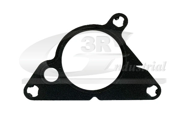 Gasket, vacuum pump
