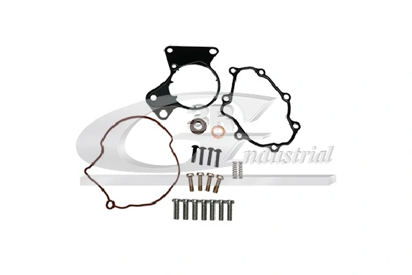 Repair Set, vacuum pump (braking system)