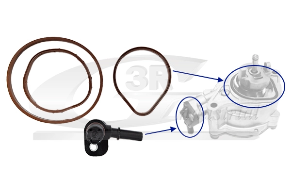 Repair Set, vacuum pump (braking system)