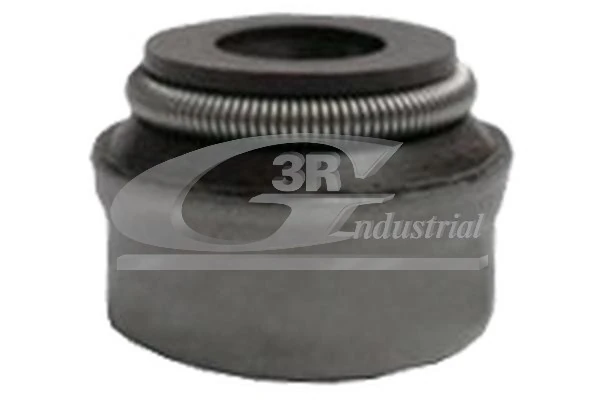 Seal Ring, valve stem