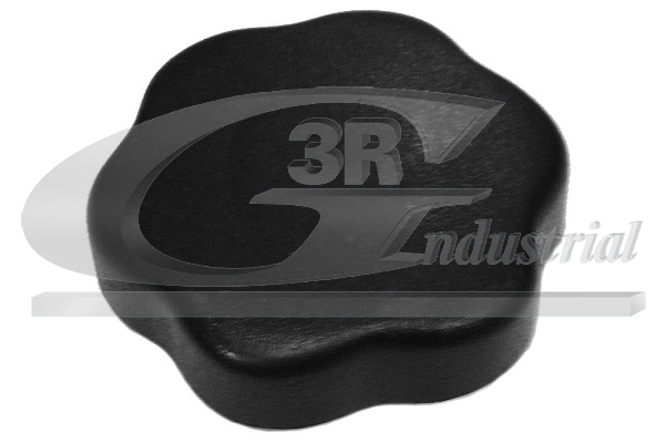 Sealing Cap, oil filler neck