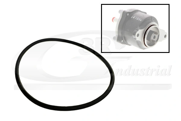 Gasket, vacuum pump
