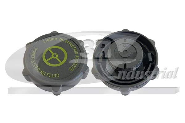 Seal Ring, power steering pump blanking plug