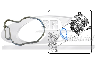 Gasket, vacuum pump
