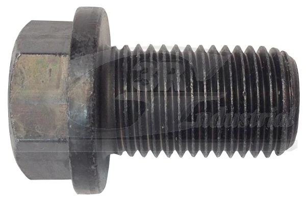 Screw Plug, oil sump