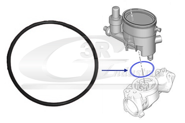 Seal Ring, fuel filter