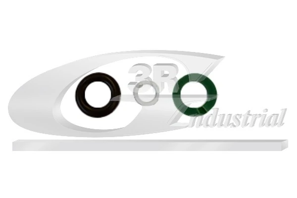 Seal Ring Set, injection valve