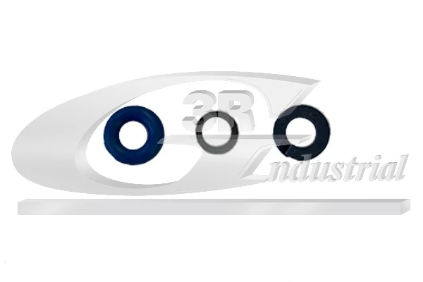 Seal Ring Set, injection valve