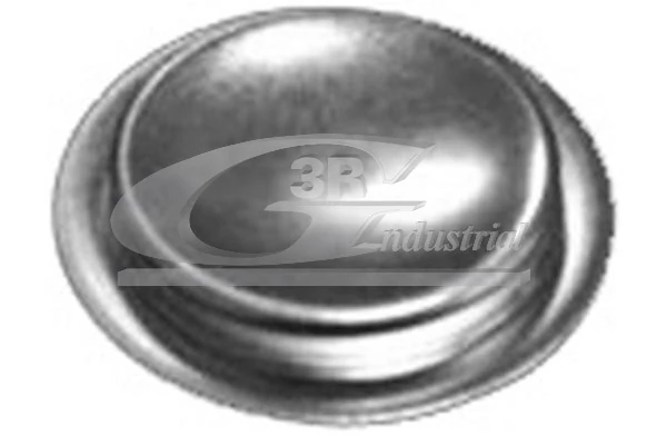 Plug, rocker arm shaft mounting bore