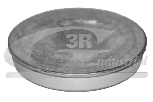 Protection Lid, wheel hub