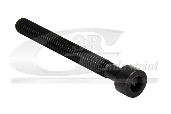 Screw, injection nozzle holder