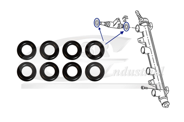 Seal Ring Set, injection valve