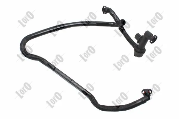 Hose, crankcase ventilation