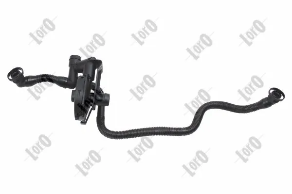 Hose, crankcase ventilation