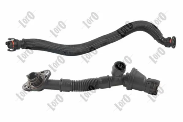 Hose, crankcase ventilation