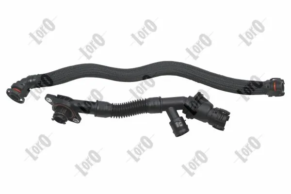 Hose, crankcase ventilation
