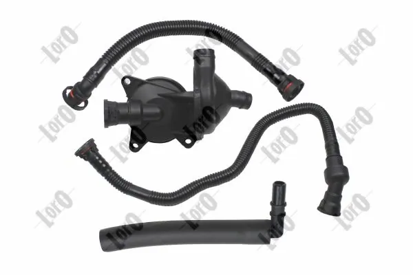 Hose, crankcase ventilation