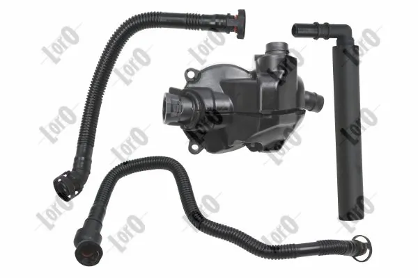 Hose, crankcase ventilation