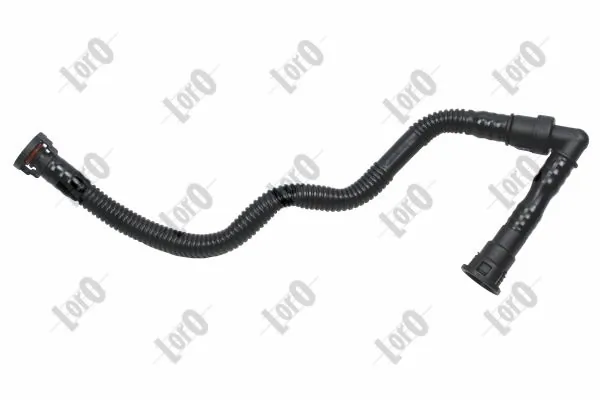 Hose, crankcase ventilation