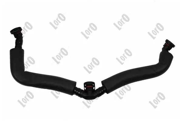 Hose, crankcase ventilation