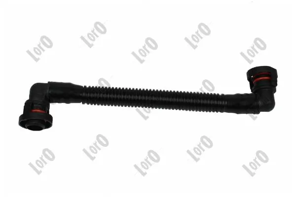 Hose, crankcase ventilation