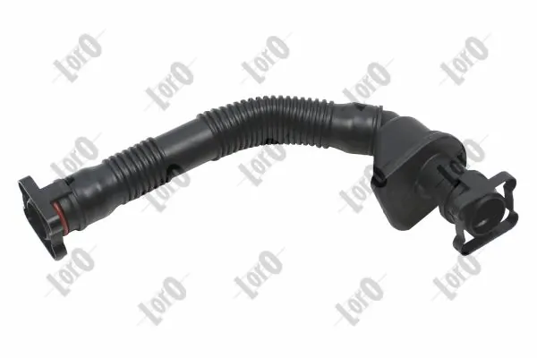 Hose, crankcase ventilation