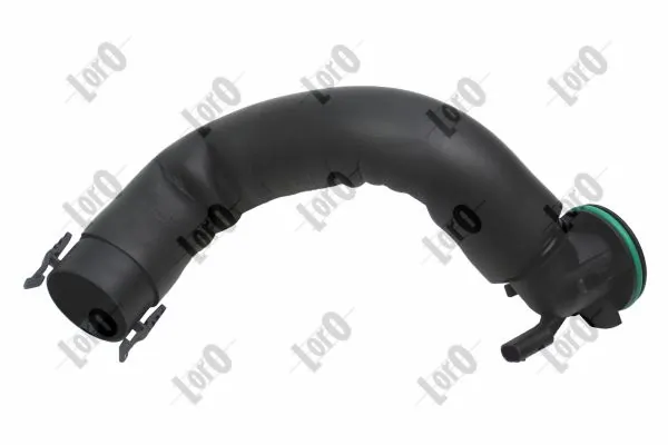 Hose, crankcase ventilation
