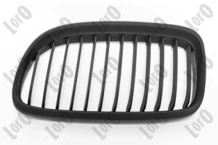 Radiator Grille