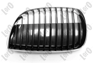 Radiator Grille