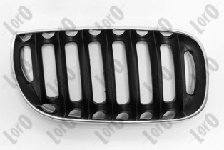 Radiator Grille