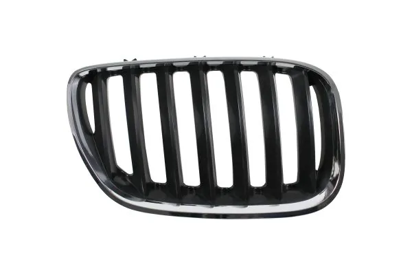 Radiator Grille