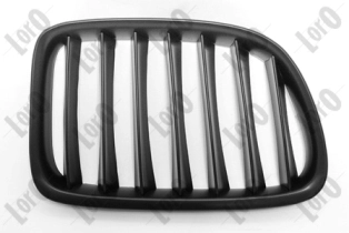 Radiator Grille