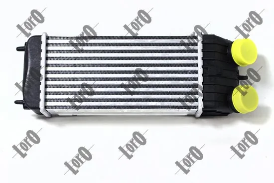 Charge Air Cooler