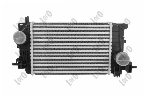 Charge Air Cooler