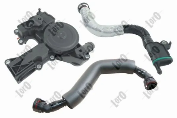 Hose, crankcase ventilation