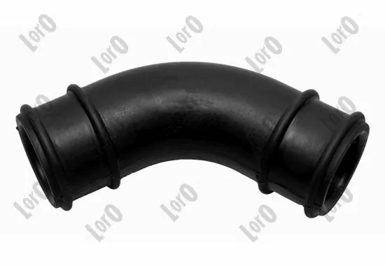 Hose, crankcase ventilation