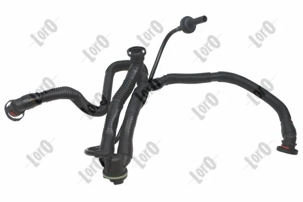 Hose, crankcase ventilation