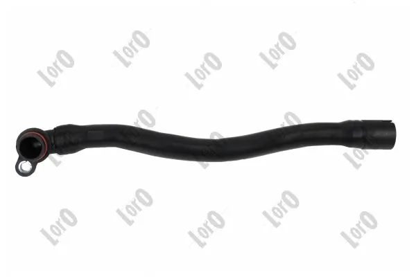 Hose, crankcase ventilation