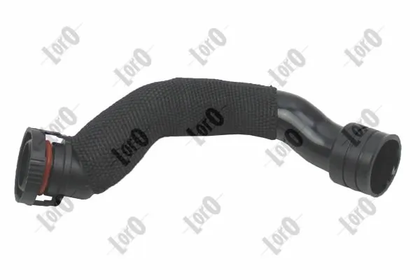 Hose, cylinder head cover ventilation