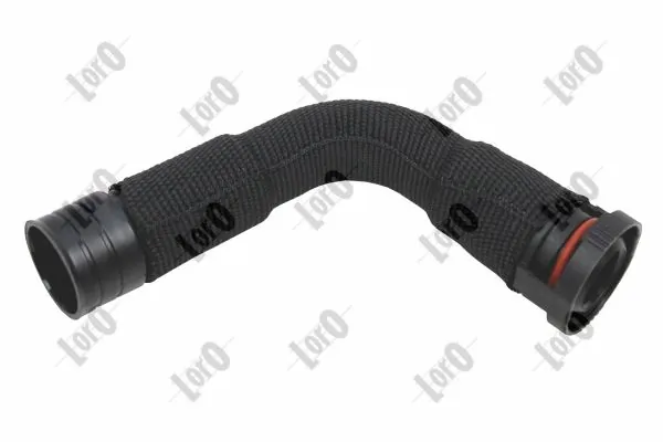 Hose, cylinder head cover ventilation
