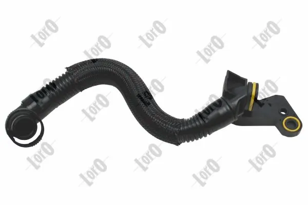 Hose, crankcase ventilation