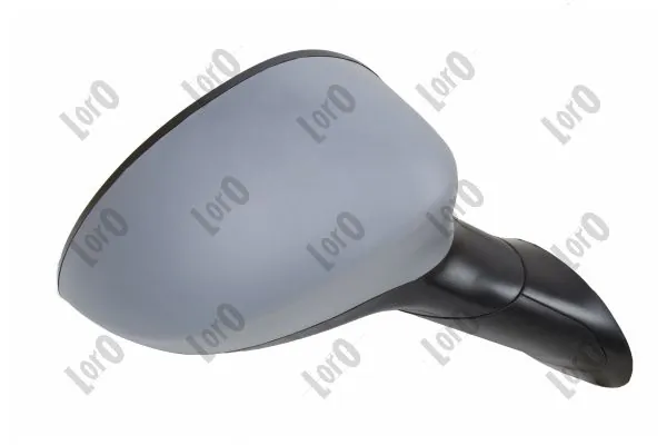 Exterior Mirror