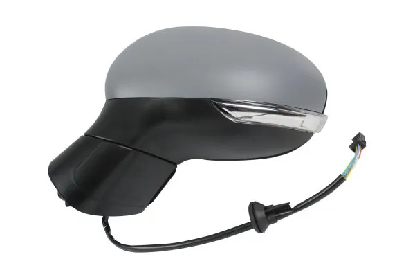 Exterior Mirror