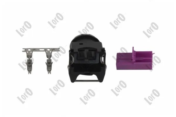 Plug, injector